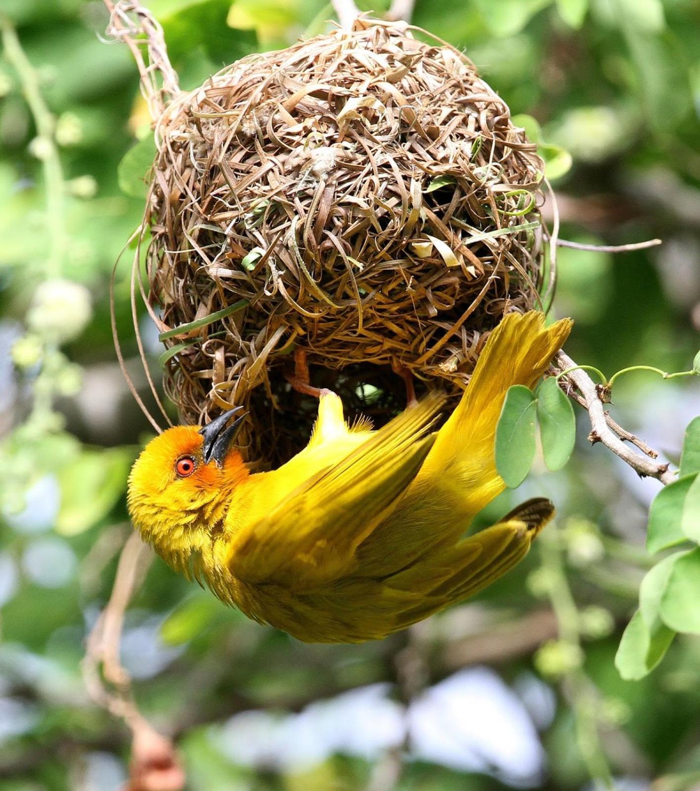 Mawingu Lodge キジカジ エクステリア 写真
