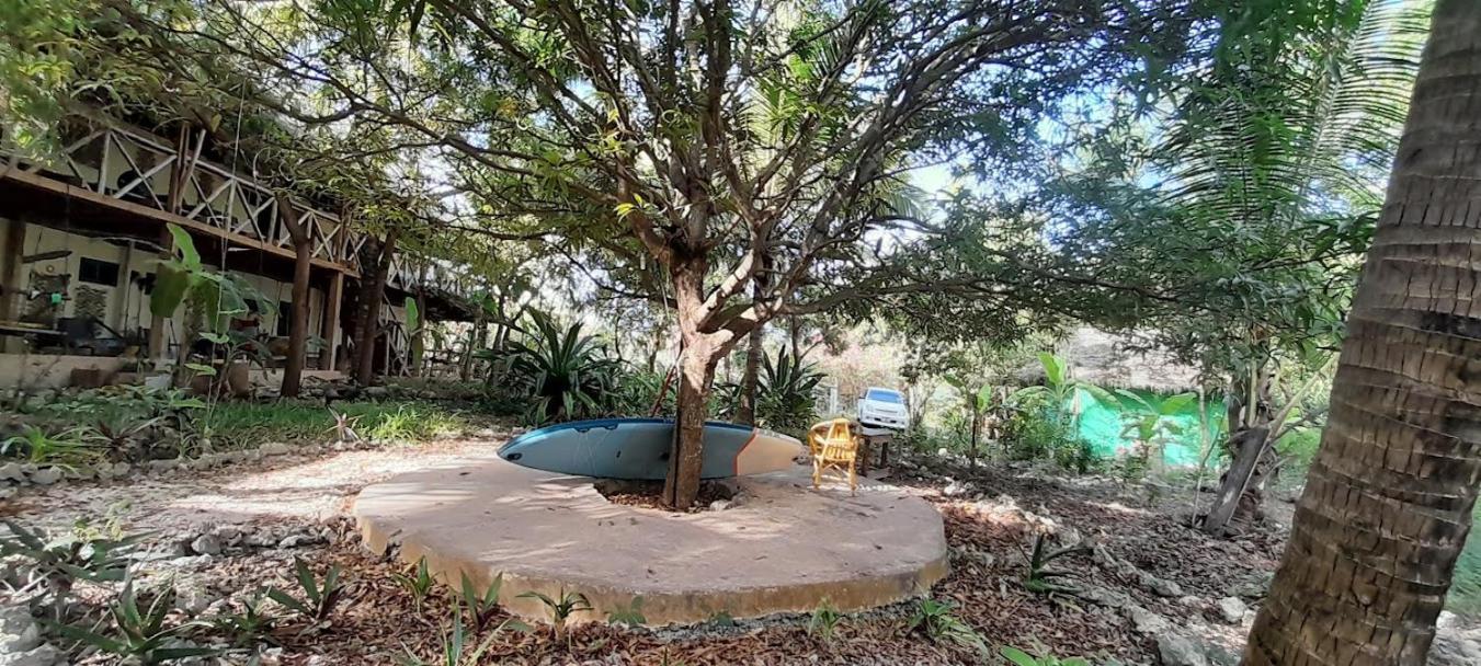 Mawingu Lodge キジカジ エクステリア 写真